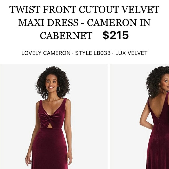 Red Velvet Maxi Dress - Picture 8 of 8